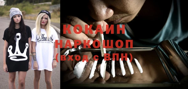 тгк Новодвинск