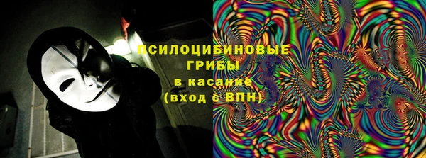 ПСИЛОЦИБИНОВЫЕ ГРИБЫ Балабаново
