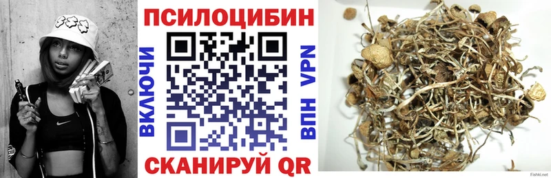 Псилоцибиновые грибы мухоморы  KRAKEN маркетплейс  Унеча 
